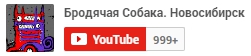 Бродячая собака YouTube канал